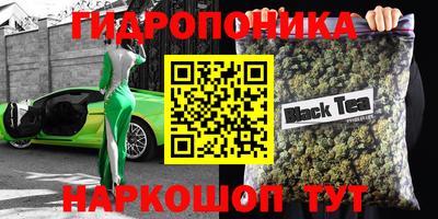 прущие грибы Моздок