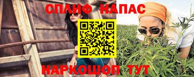 прущие грибы Моздок
